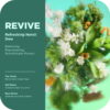 OLLY Vitamins Revive Body Scrub Exfoliates & Repairs Skin Barrier Neroli Dew, 6 oz