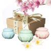 Banami Solid Perfume 3pack