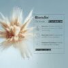 Anti-wrinkle moisturizing powder